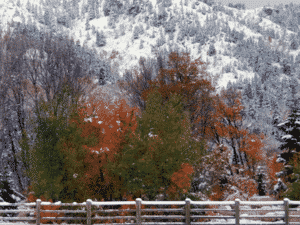 Personal Injury Attorney Roy Utah