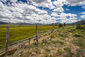 auto Accidents Farr West Utah