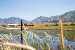 Hooper Car Accident Attorneys at Law Utah