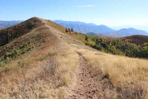 Morgan Utah car accident attorneys