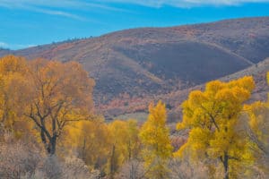 Willard Utah Auto Accidents Attorneys car accidents